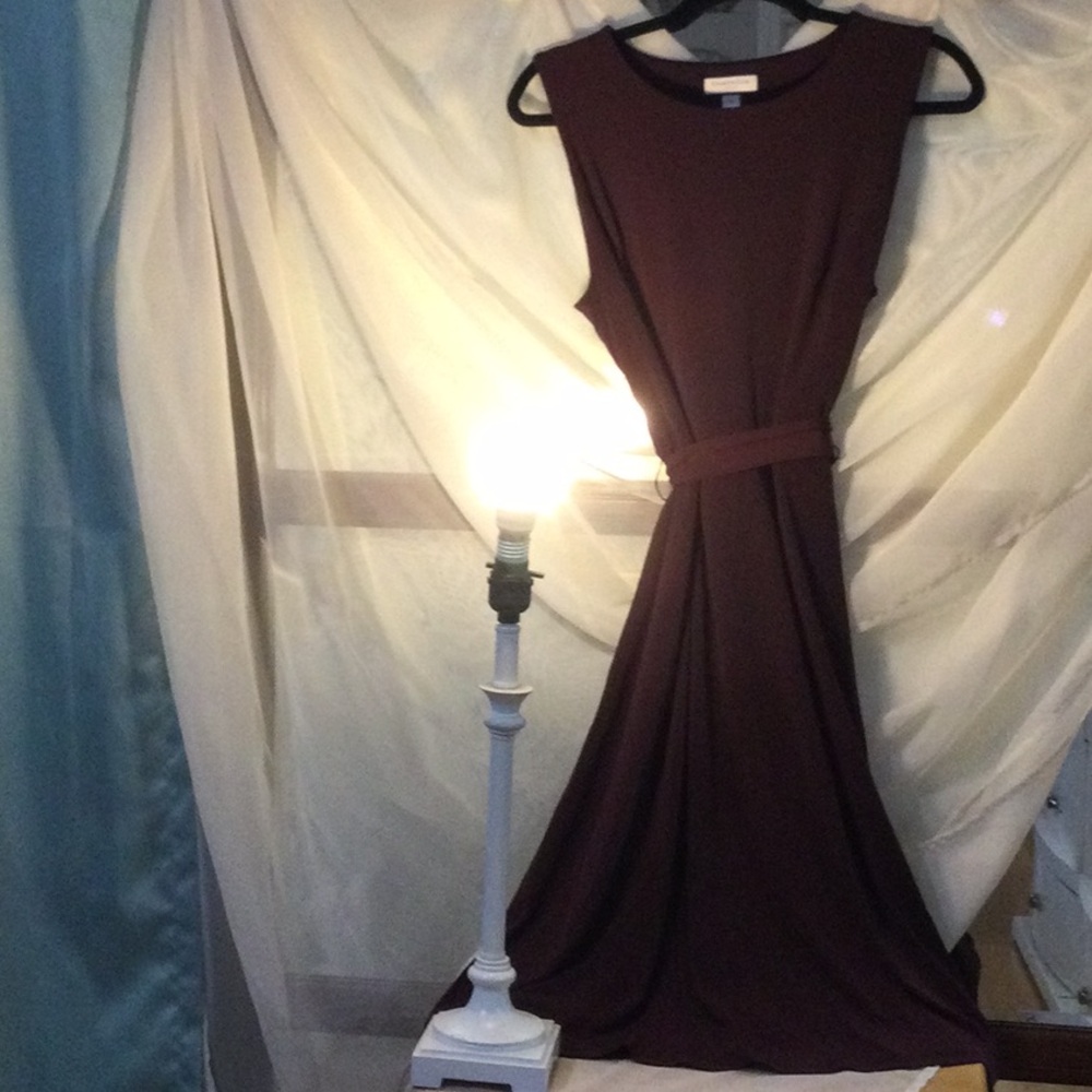 Elegant Sleeveless Dress with Sash